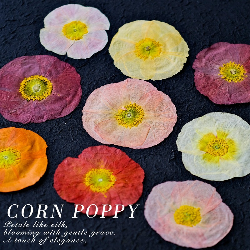 1pcs,Nature Field Poppy Presse - Resin Art Frame recension och pris