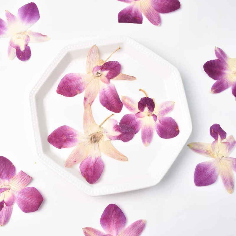 4pcs,Real Pressed Butterfly Or - Resin Art Frame recension och pris