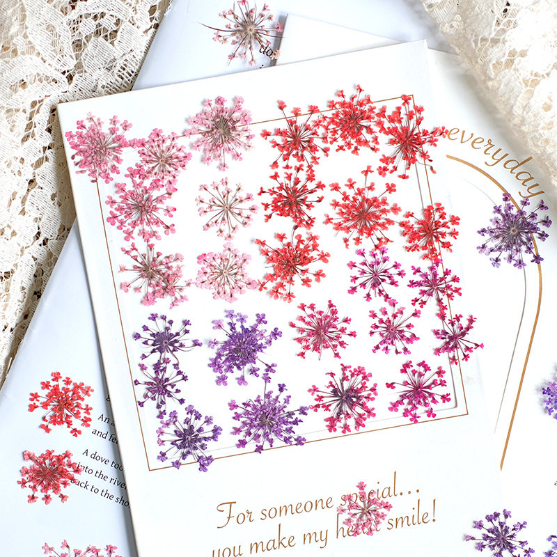 24pcs, 2-2.5cm, Nature Dyed Mi - Resin Art Frame recension och pris